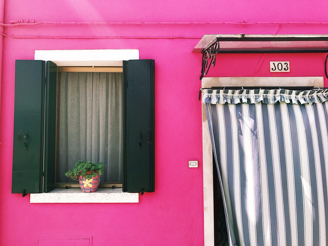 Magenta House